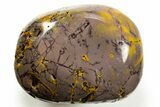 Polished Mookaite Jasper Specimen - Australia #314629-1
